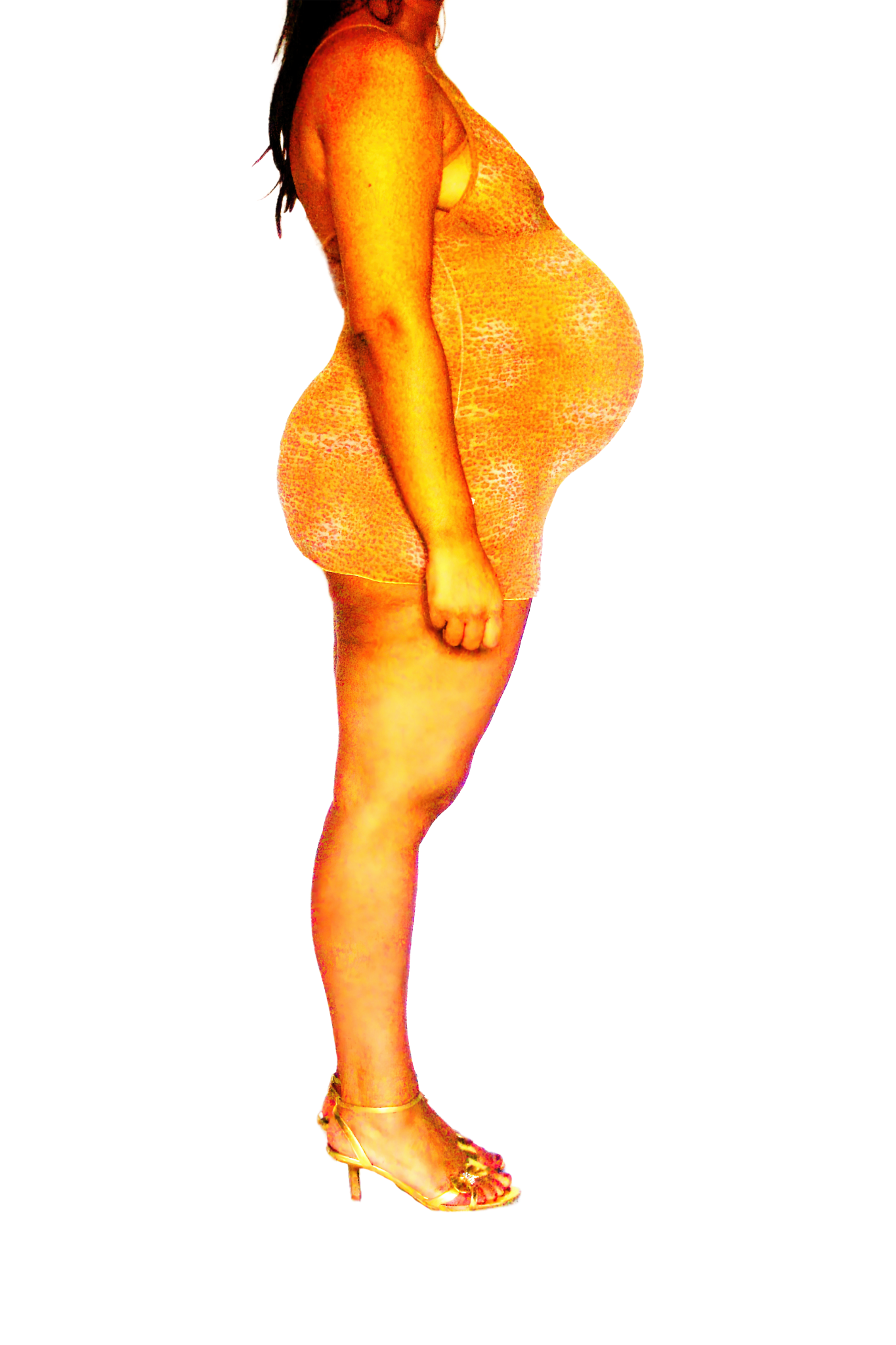 Le Corps Pansant - 2009